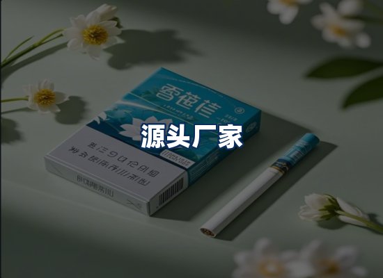 专业团队办公环境